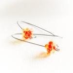 Tangerine Minim..