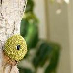 Green Olive. Bead woven rou..