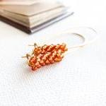 Burnt orange chic earrings...