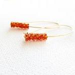 Burnt orange chic earrings...
